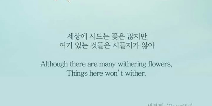 720x1280 Svt - Seventeen Lyrics Quotes Kpop (#1629979) - HD Wallpaper Download