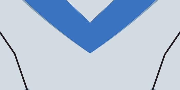 1200x2133 Raven Winter on Voltron | Voltron paladins, Shiro voltron