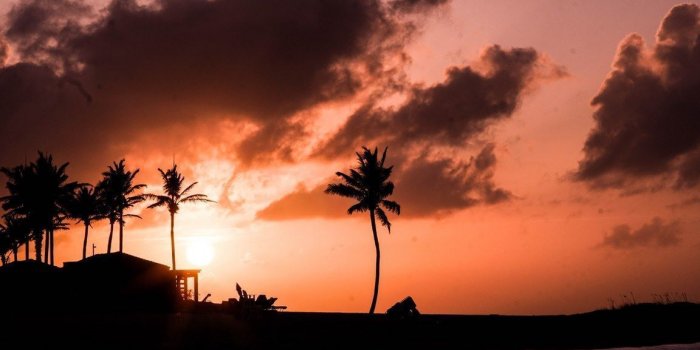 1152x768 Sunset palm trees - Most Romantic Beaches In The Bahamas - A World