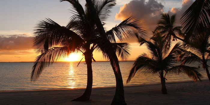 3840x2400 Images Bahamas Nature Tropics palm trees Sunrises and 3840x2400