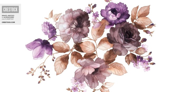1920x1200 Flowers: Watercolor Flower Border Desktop Wallpaper Flower