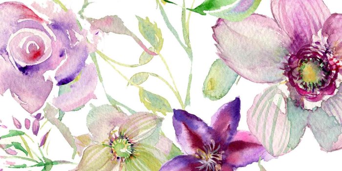 1536x2048 Watercolor Flower Iphone Background - Flowers Healthy