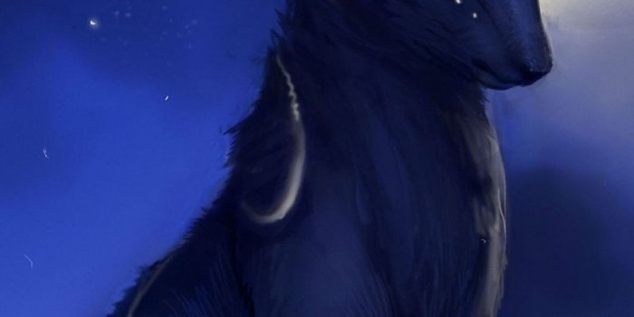 1080x1920 Umbreon - Pokemon iPhone 6s Wallpapers HD