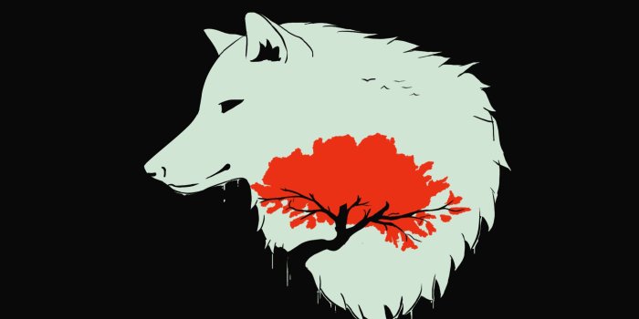 1920x1080 74+ Wolf Art Wallpapers on WallpaperPlay