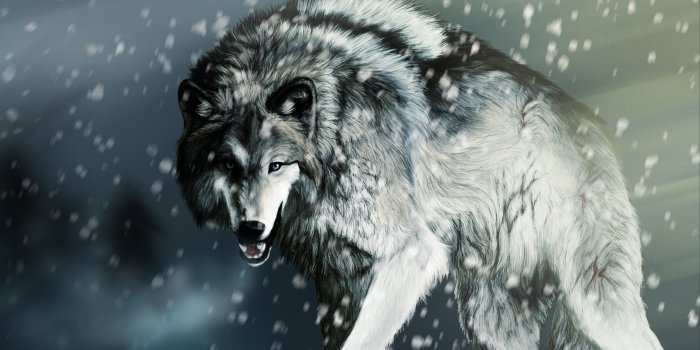 2560x1600 Download the Hunting Wolf Wallpaper, Hunting Wolf iPhone Wallpaper