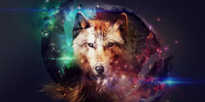 1920x1080 Neon Wolf Wallpapers - Top Free Neon Wolf Backgrounds - WallpaperAccess