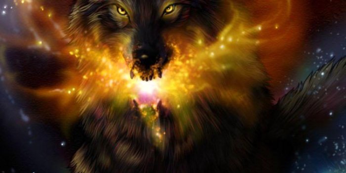 750x1334 Wolf Wallpaper (4K Ultra HD) for Android - APK Download