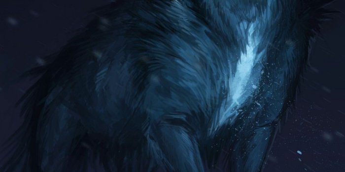 1080x1920 CGI Wolf Wallpapers | HD Wallpapers | ID #22991