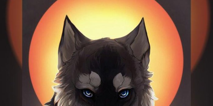 720x1280 Wolf Wallpaper for Android - APK Download