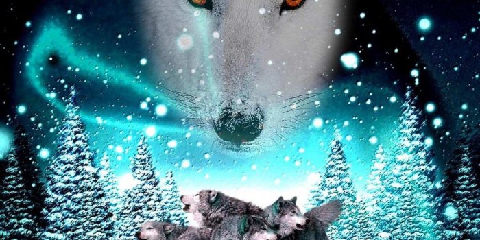 1280x800 3d Wolf Wallpaper Android Apps On Google Play - Tapety O Wilkach 3d