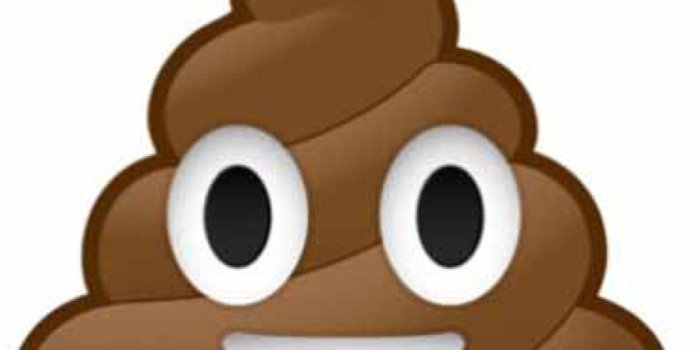 1252x1252 Poop Wallpapers