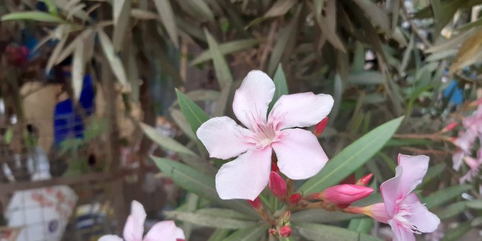 4608x3456 Samsung Galaxy A30 Review | NDTV Gadgets360.com