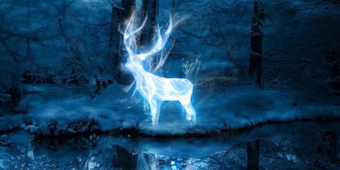 1200x800 Take Pottermore's new Patronus quiz to find out if you're a dolphin