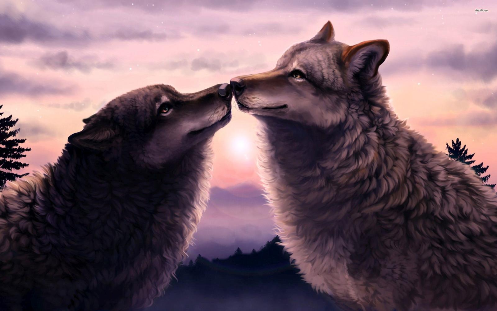 2560x1600 Love Wolf Wallpapers - Top Free Love Wolf Backgrounds - WallpaperAccess