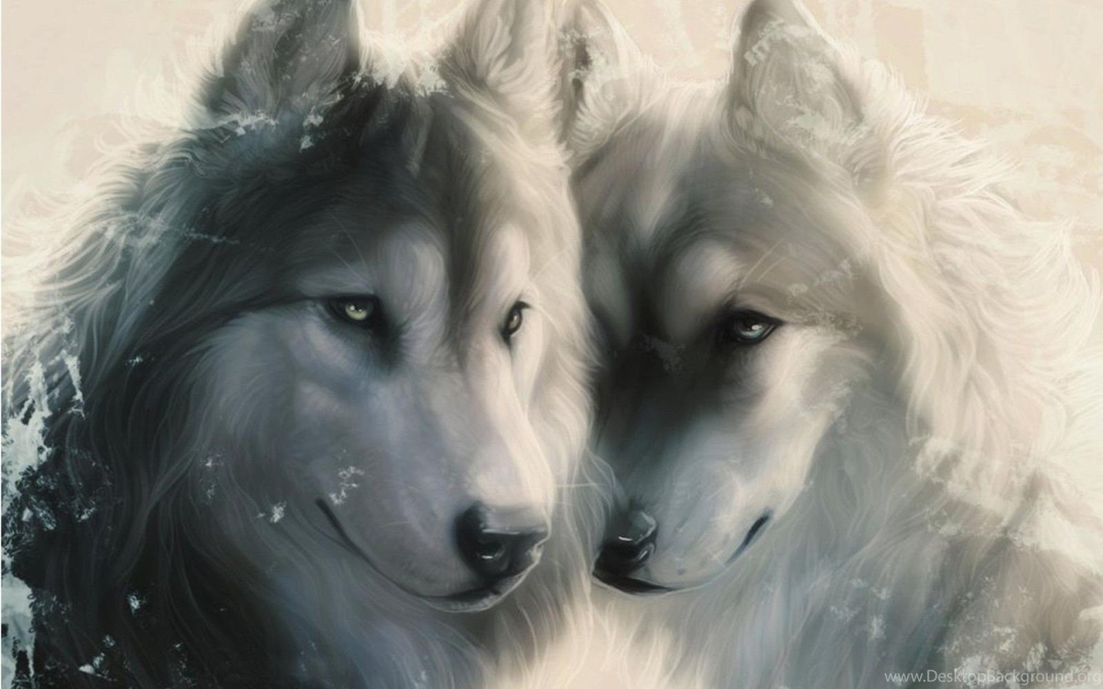 1920x1200 Love Wolf Wallpapers - Top Free Love Wolf Backgrounds - WallpaperAccess