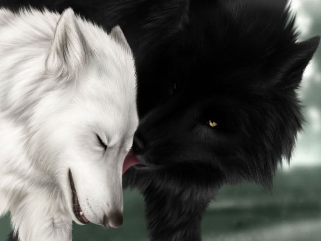 1024x768 Wolves Wallpapers | CREATURES I LOVE!!! | Wolf wallpaper, Wolf love