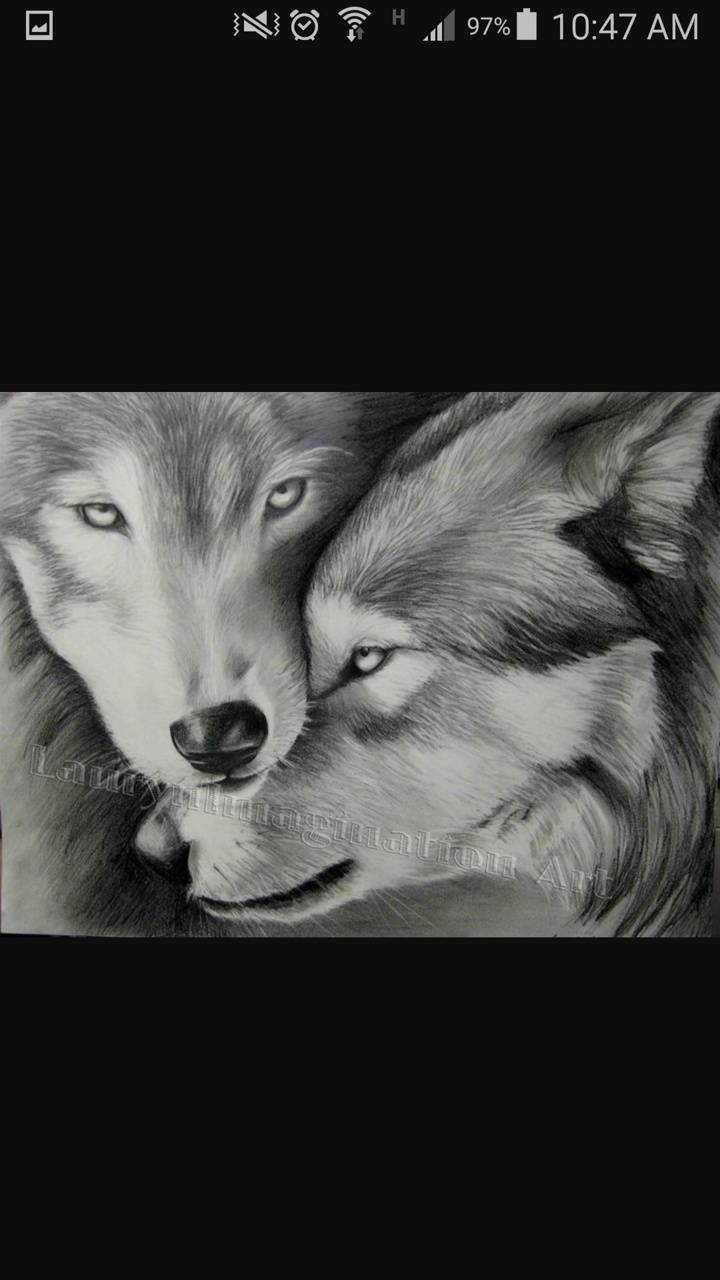 720x1280 Wolf love Wallpaper by jazkc - 65 - Free on ZEDGE™