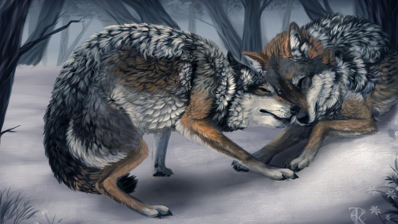 2560x1440 Wolves in Love Wallpapers (53+ images)