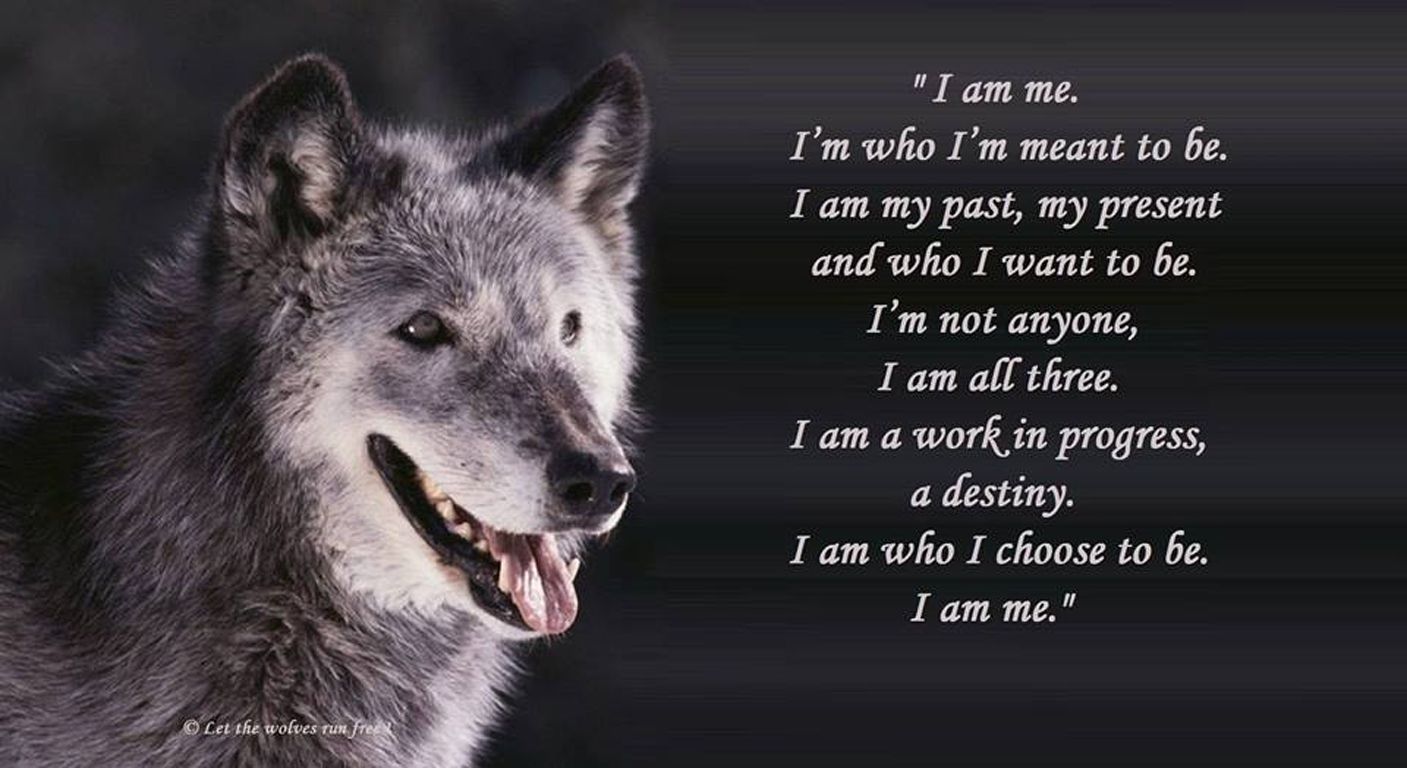 1407x768 wolf wisdom Download HD Wallpapers and Free Images