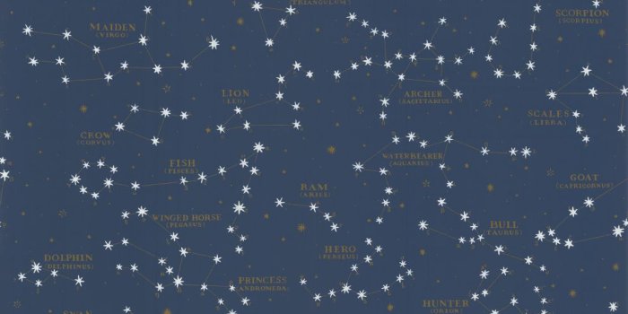 991x1000 Collection North Hemisphere by Ralph Lauren - Midnight Blue