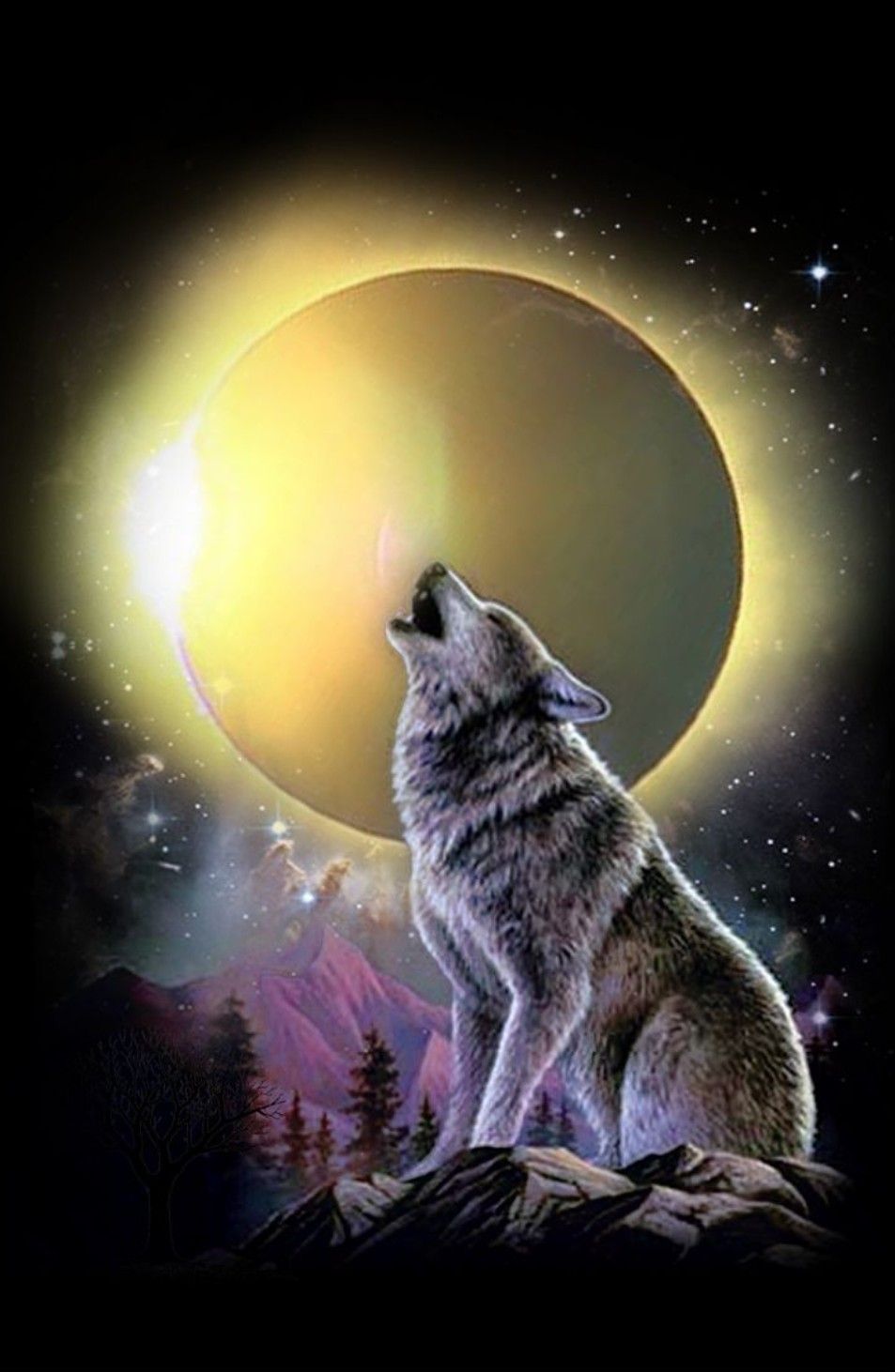 953x1462 Matthew Cole on wolves | Wolf, Wolf silhouette, Wolf wallpaper