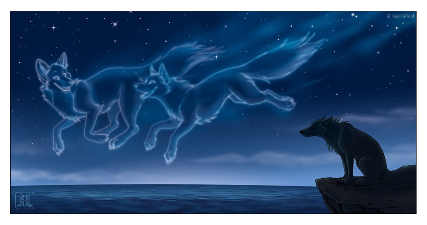 1440x758 Anime Wolf Love Furries - Wallpapers Browse