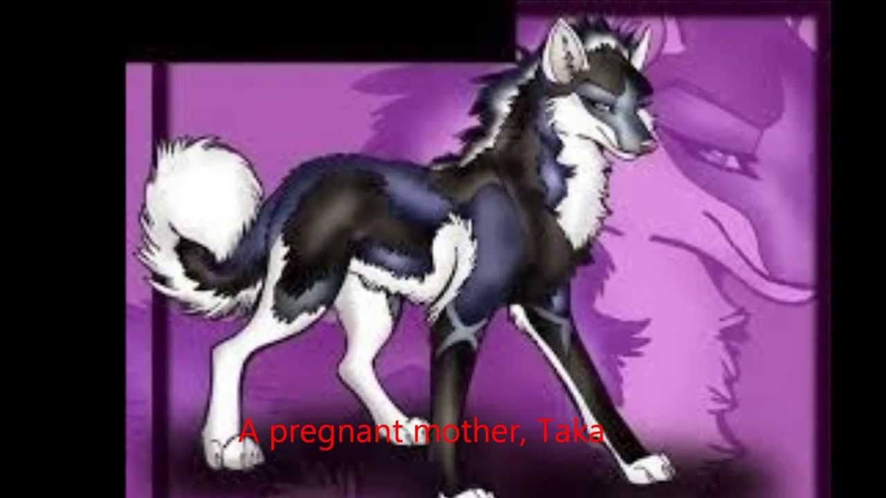 1280x720 A Wolf Love Story