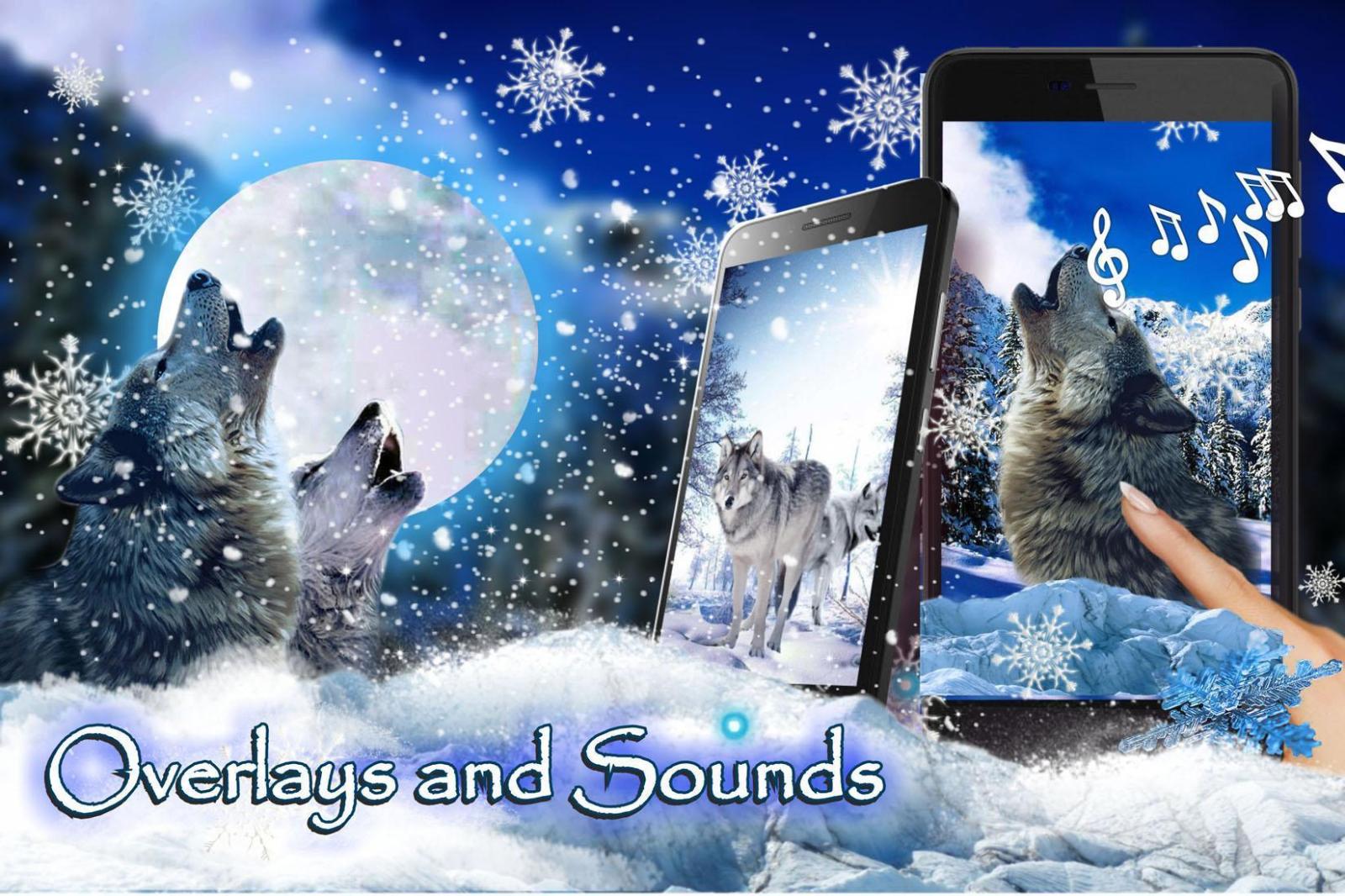 1650x1100 Wolf Love Live Wallpaper for Android - APK Download