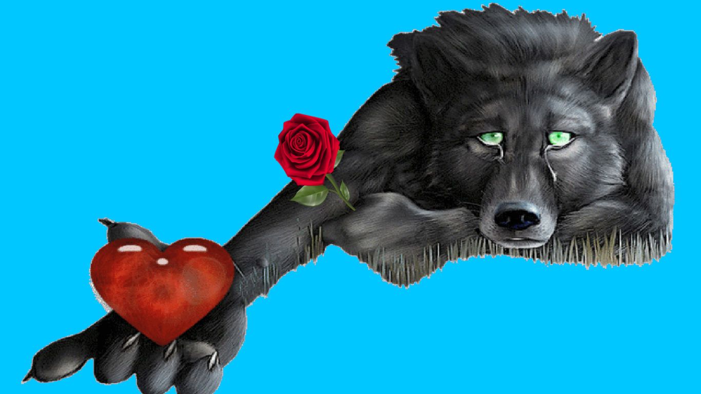 1366x768 Wolf Heart red rose messages on lonely hearts HD Wallpapers for