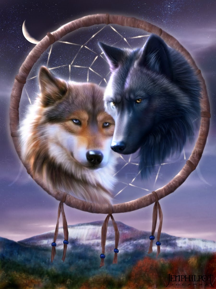 900x1200 Wolf Love Wallpaper