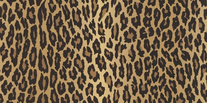 1280x1280 Ralph Lauren Wallpaper Aragon Ocelot * LWP65400W