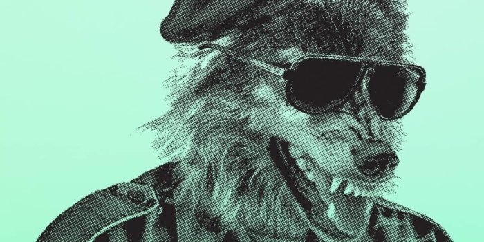 1242x2208 Neff Skate Wallpaper ✓ The Galleries of HD Wallpaper