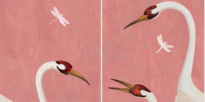 712x2080 Edition KLFW