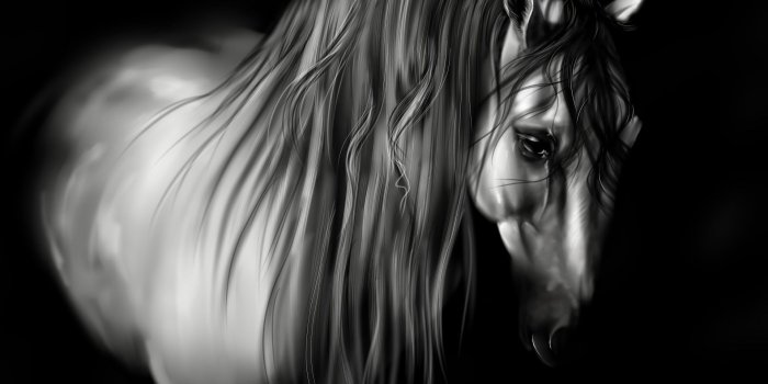 1920x1080 Image result for sad computer wallpaper | Wallpaper | Horses, Horse