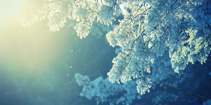 1920x1080 anime, Nature, Snow, Winter, Cold, Sunlight, Peaceful Wallpapers HD