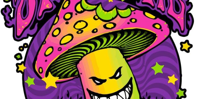 885x1024 Spitfire Skateboards Wallpapers