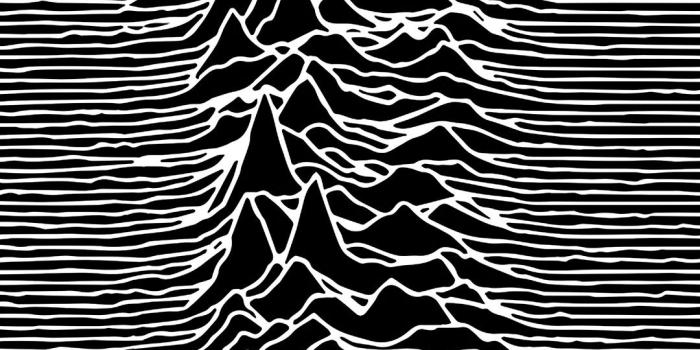 1080x2160 Joy Division Wallpaper Unknown Pleasures - Best Wallpaper Foto In 2019