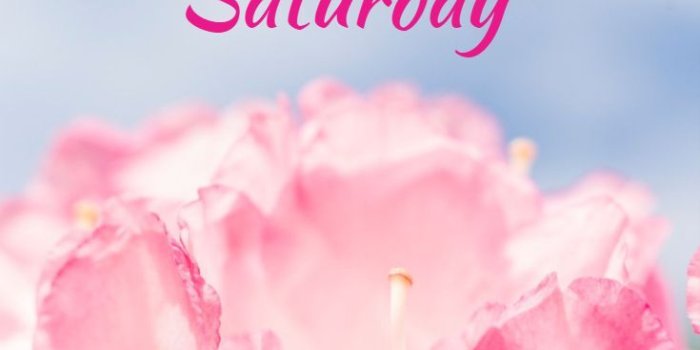 735x1103 Good Morning Saturday Wishes Quotes Images - Good Morning Saturday