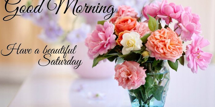 2560x1600 15+ Saturday Morning Wallpapers - Download at WallpaperBro