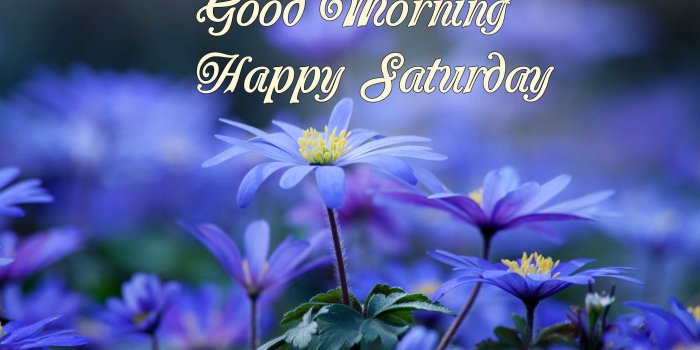 2560x1600 Good Morning Blessings Wallpaper (77+ images)