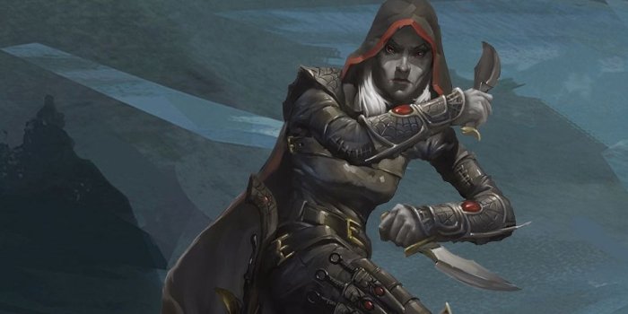 1920x500 Ranger and Rogue | Dungeons & Dragons