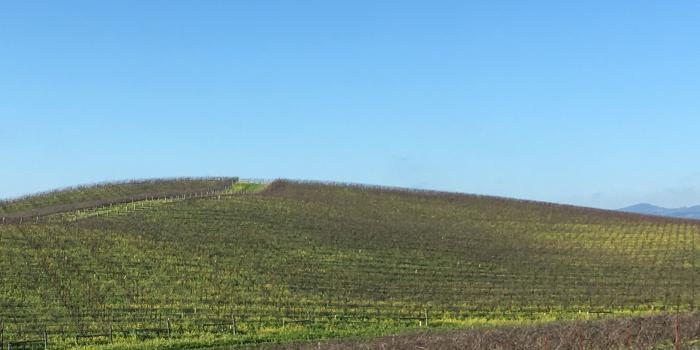 4032x3024 Windows XP classic wallpaper: from your PC to a real-life trip up