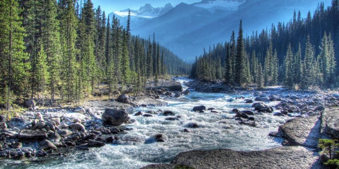 1920x1200 2510869 great nature wallpaper (1920x1200) | Nature wallpapers