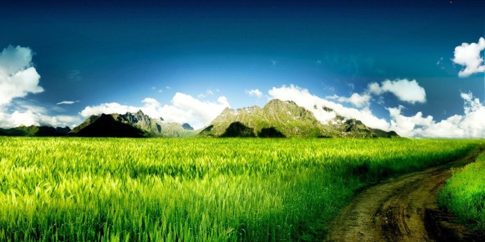 1280x800 Great Nature Wallpaper For Desktop | HD Nature Wallpapers Free