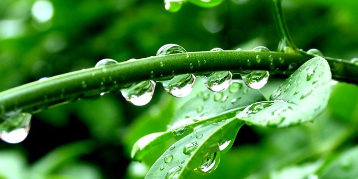 1600x1200 nature hd | Great Nature Wallpaper HD For Download | HD Nature