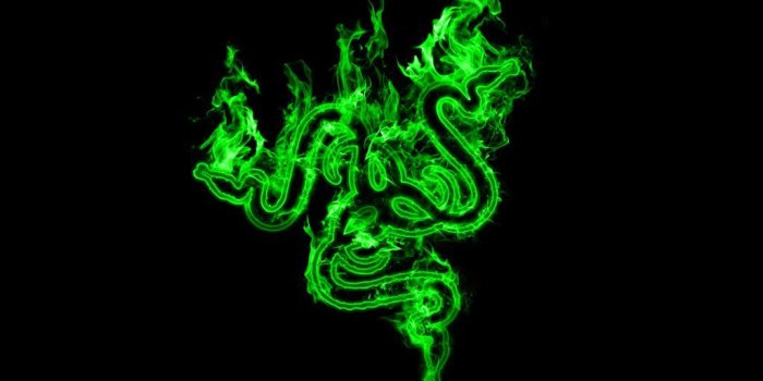 1024x768 Razer Logo Wallpapers - Top Free Razer Logo Backgrounds