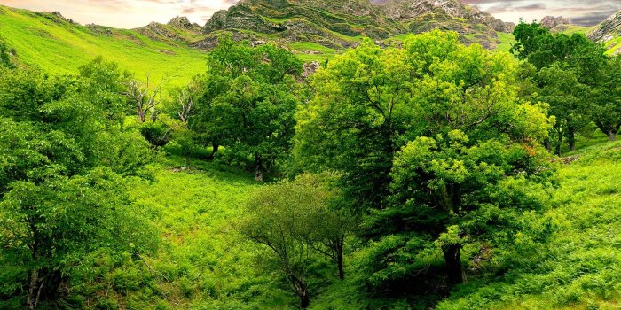 1920x1200 Great Nature Wallpaper Best Nature Wallpapers #19674 Wallpaper