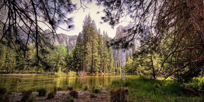 1920x1200 great nature wallpaper (1920x1200)