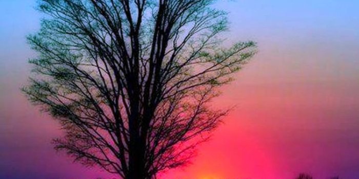 750x1334 Sunset - Tap to see more great nature wallpaper! | @mobile9 | iPhone