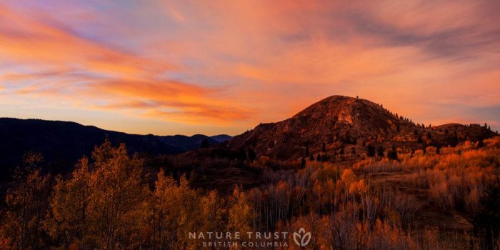 1200x675 Nature Landscapes Wallpaper | The Nature Trust of British Columbia